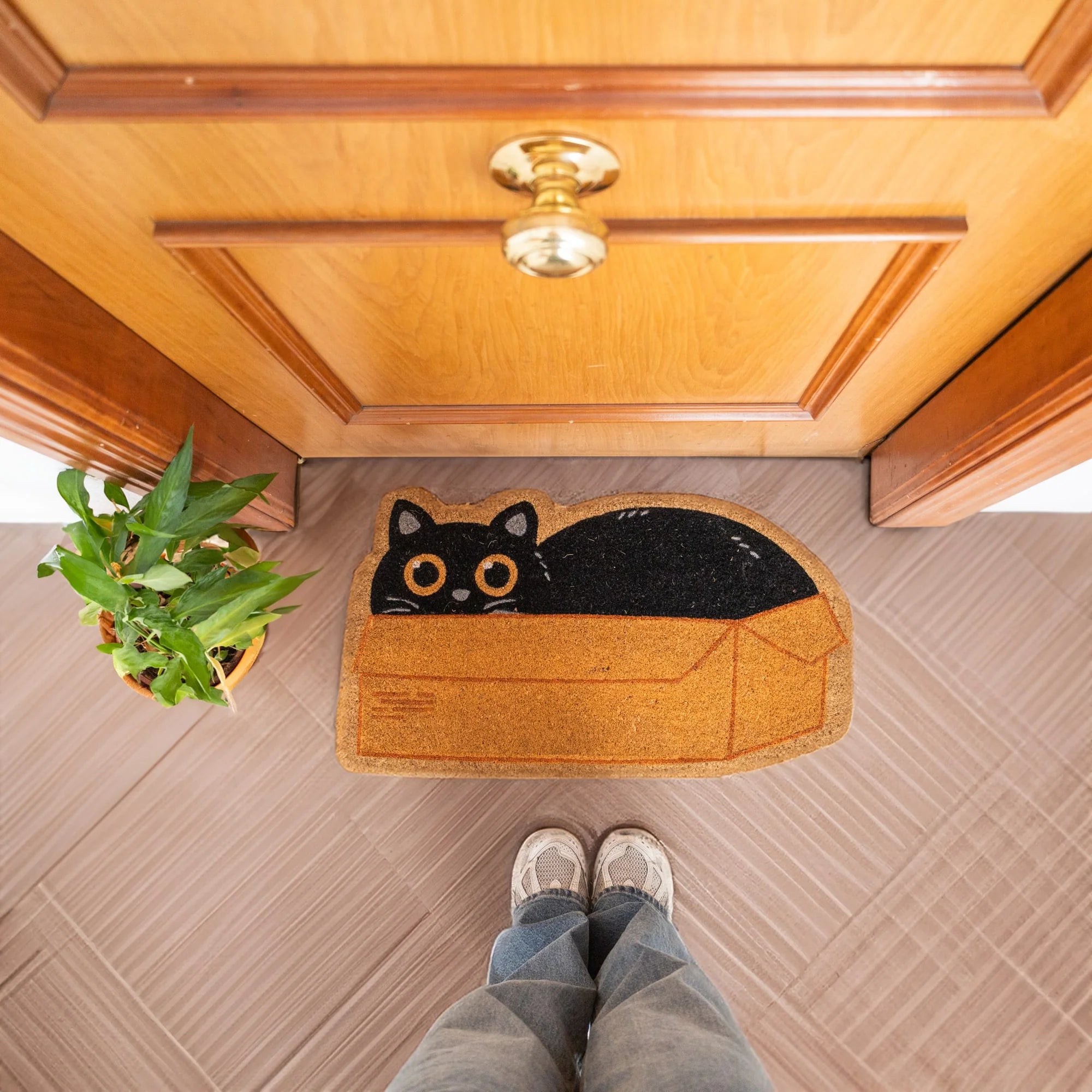 Cat Box - Paillasson